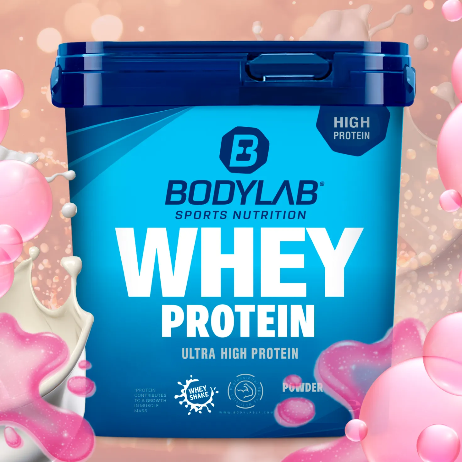 Whey Protein (1000g)