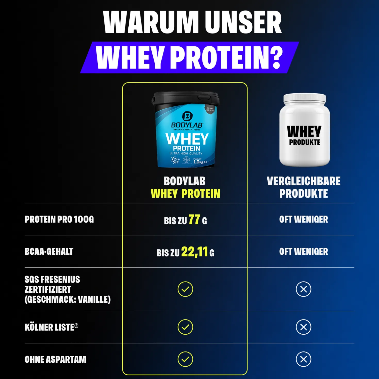 Whey Protein (1000g)