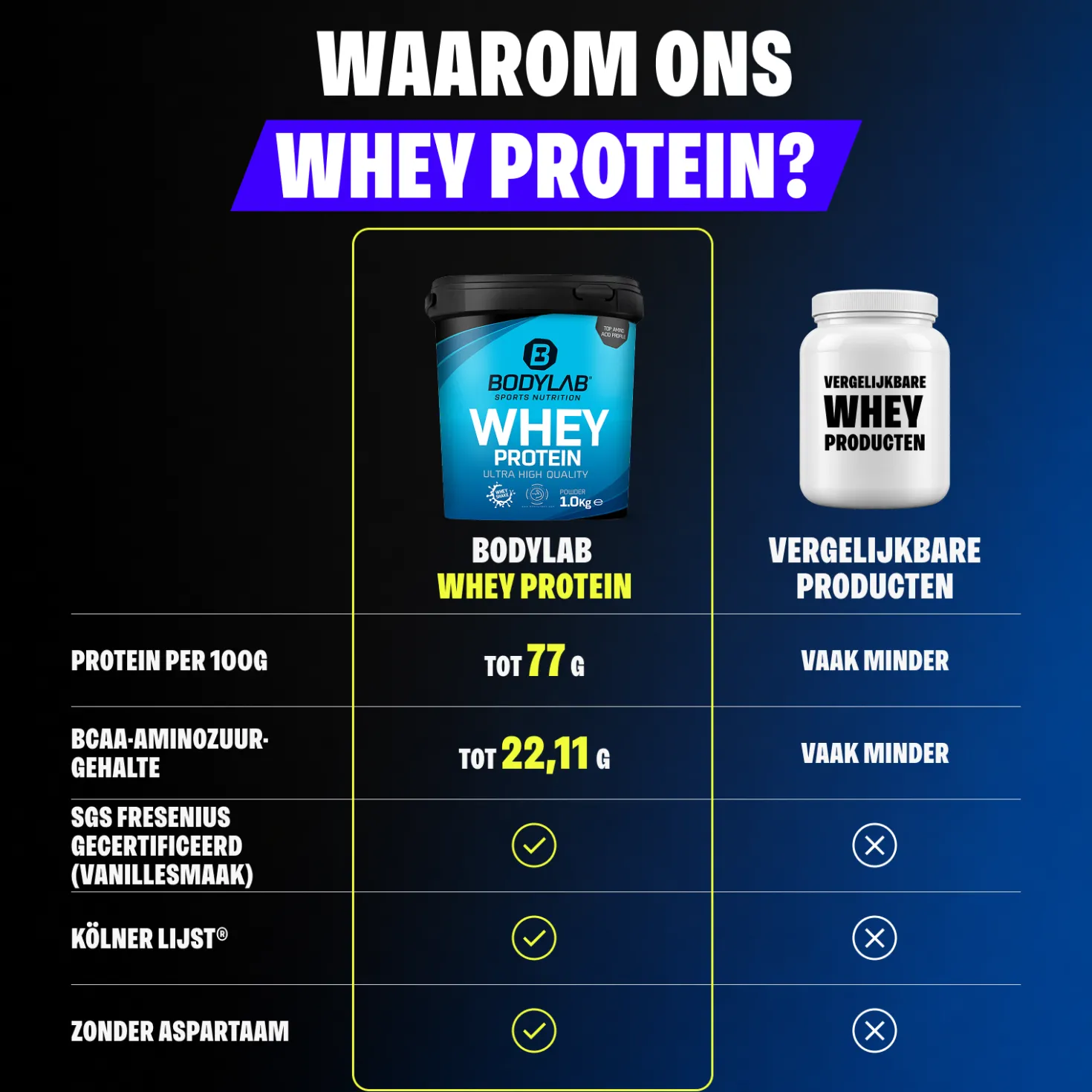 Whey Protein (1000g)