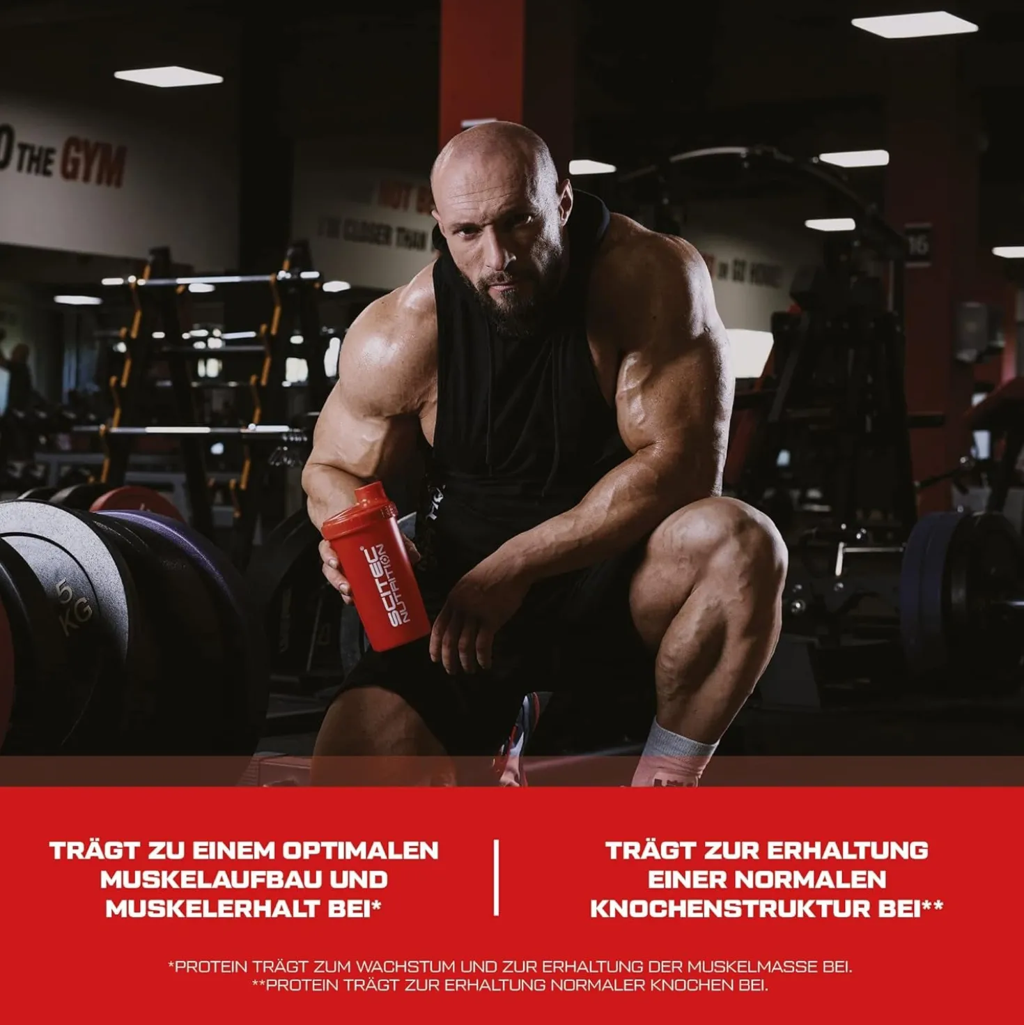 100% Whey Protein Professional (1816g)