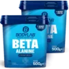 2 x Beta-Alanine (je 500g)