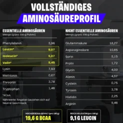 2 x Bodylab24 Vegan Protein (1000g)