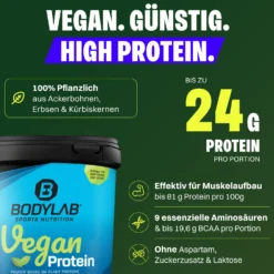 2 x Bodylab24 Vegan Protein (1000g)