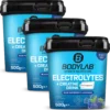 3 x Electrolytes + Creatine Drink (je 500g)