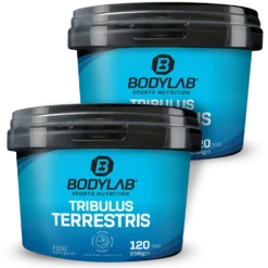 2 x Tribulus Terrestris (je 120 Tabletten)