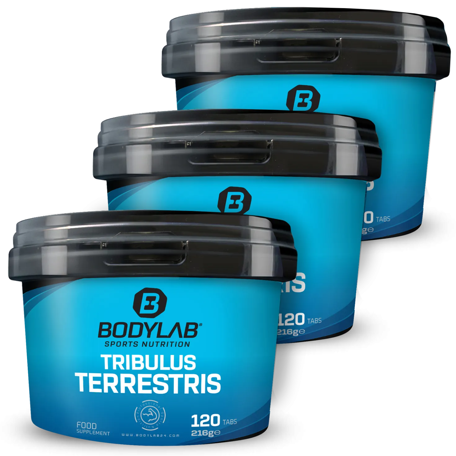 3 x Tribulus Terrestris (je 120 Tabletten)