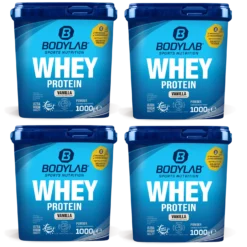 4x Whey Protein (4x1000g)